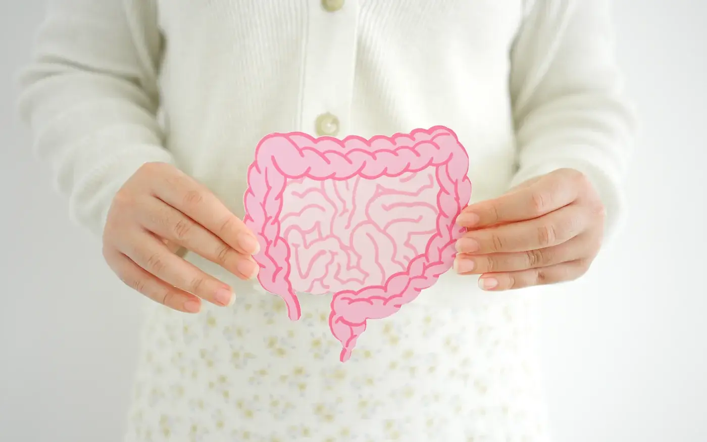 Hands holding a paper intestine over the stomach, gut health care at a South Tempe, AZ health optimization clinic
